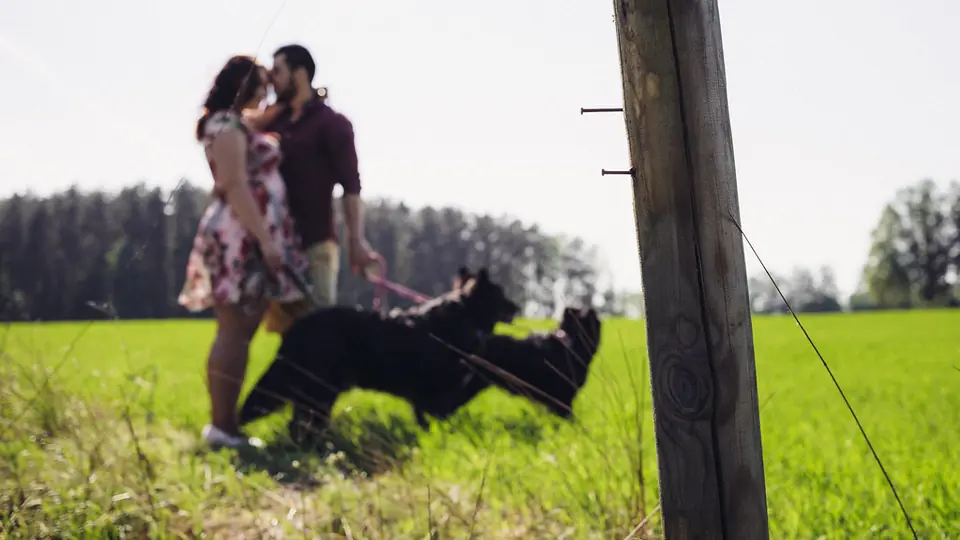 Vom Profil zum Date über Dating Seiten: ein Paar küsst sich auf einer Wiese, daneben ein Hund