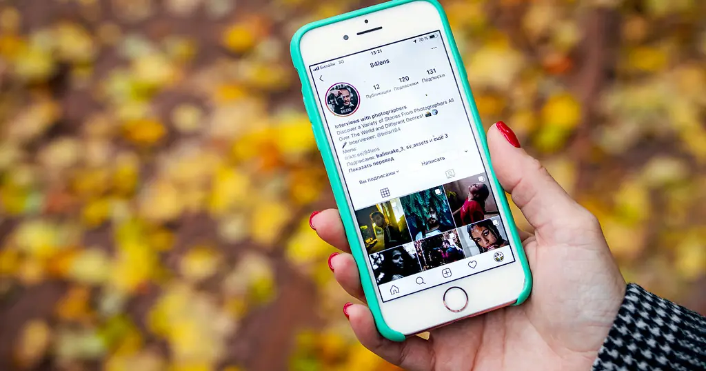 Singlebörse: eine Hand hält ein Smartphone mit einem Profil vor Herbstlaub